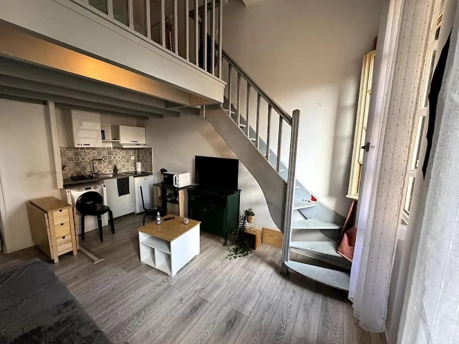 Centre Toulouse - Gare Matabiau - Grand Duplex Apartment 0*,